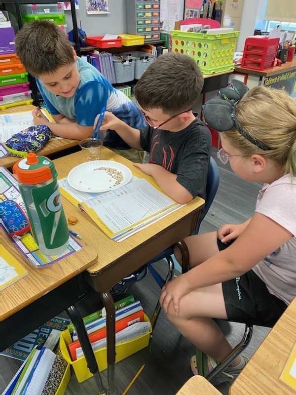 Third Grade Spring Garden CCSD 178